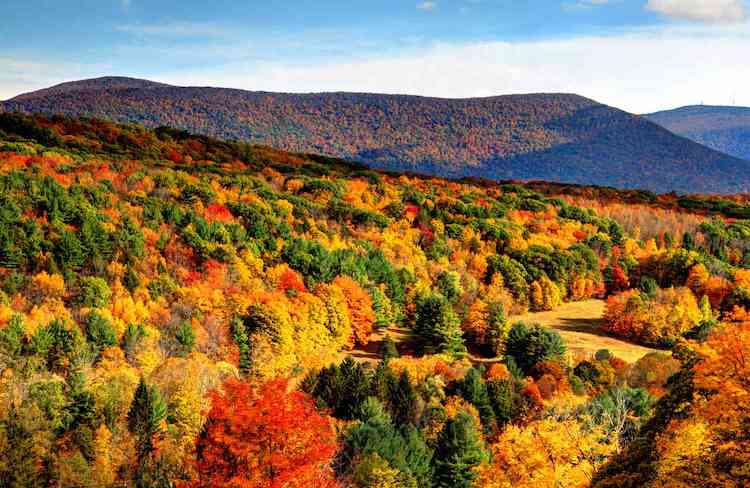 Rockhounding in Massachusetts Guide | Best Spots, and Gems